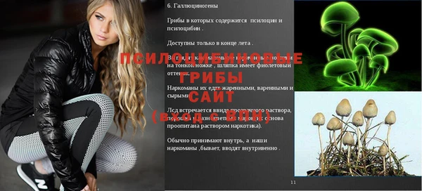 2c-b Арсеньев