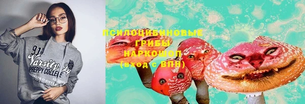 ECSTASY Аркадак