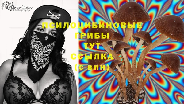Альфа ПВП Армянск