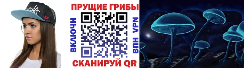 blacksprut Сатка Галлюциногенные грибы ЛСД